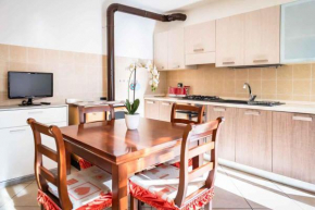 Apartment in Mori 53275